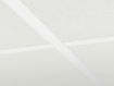 Ripplaeplaat Ecophon Hygiene Perfomance A T24 20x600x600 pilt